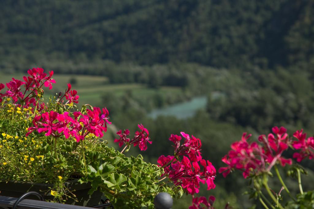 B&B Ca' La Vedescia Teglio Dış mekan fotoğraf